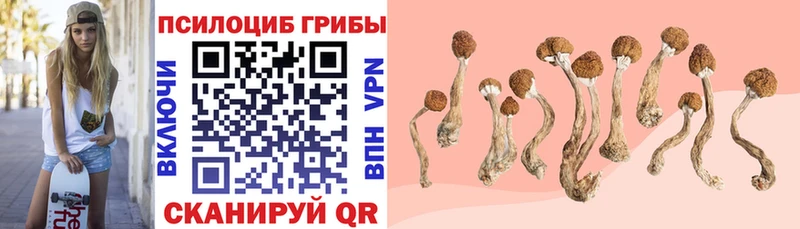 Галлюциногенные грибы Magic Shrooms  где продают наркотики  blacksprut онион  Гороховец 